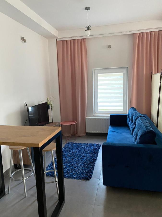 Apartamenty Pod Wierzbami Dwikozy Екстер'єр фото