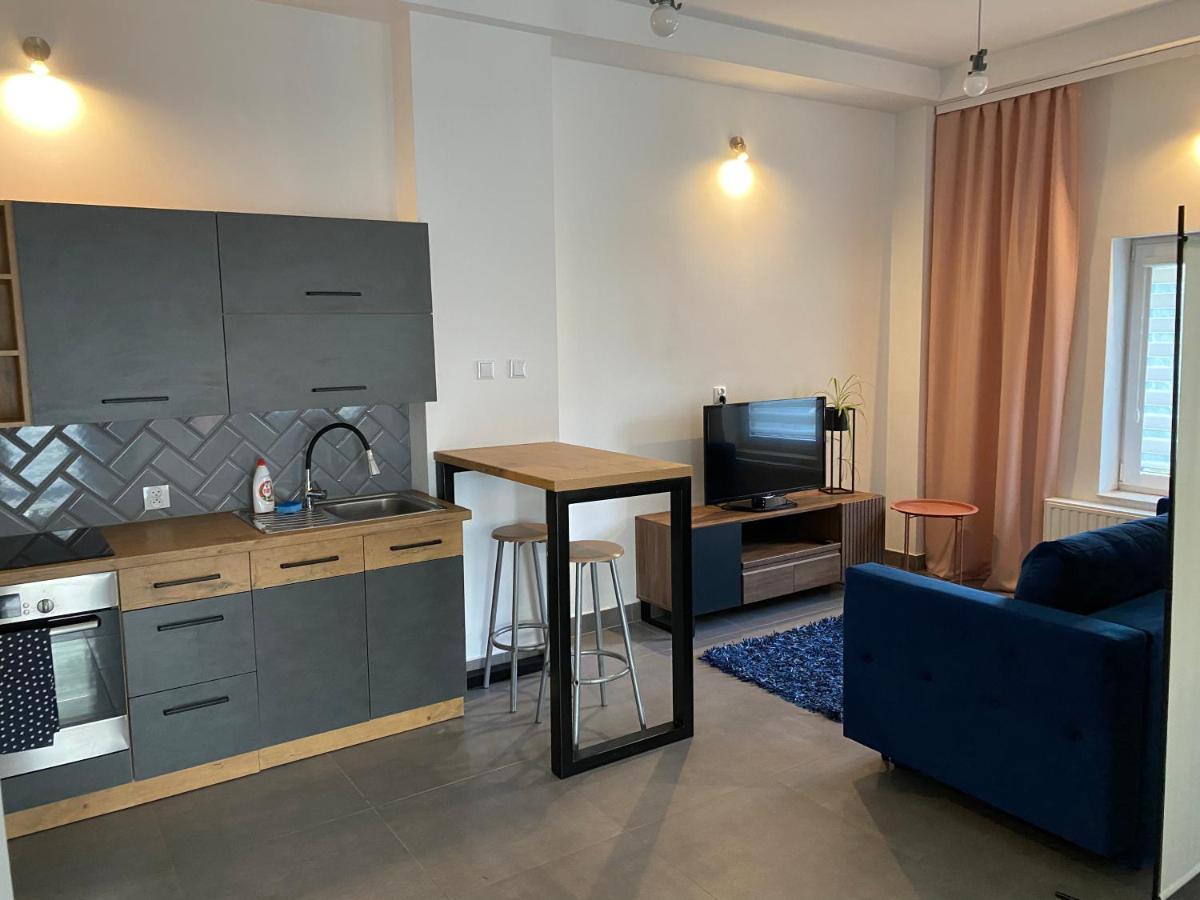 Apartamenty Pod Wierzbami Dwikozy Екстер'єр фото